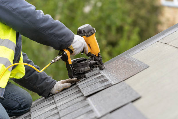 Best Skylight Installation and Repair  in La Fayette, AL