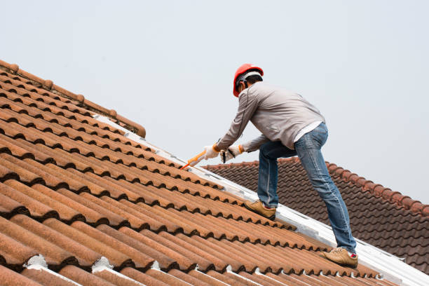 Best Skylight Installation and Repair  in La Fayette, AL