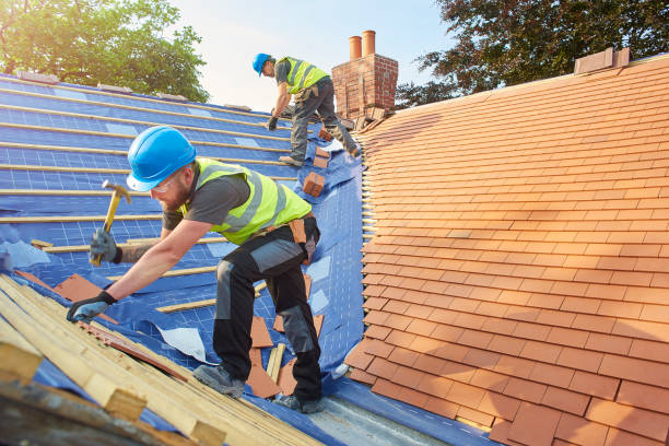 Fast & Reliable Emergency Roof Repairs in La Fayette, AL